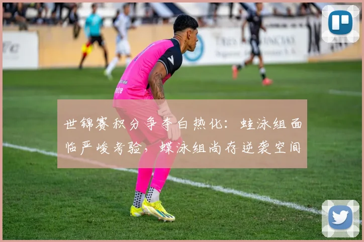 世锦赛积分争夺白热化:蛙泳组面临严峻考验,蝶泳组尚存逆袭空间