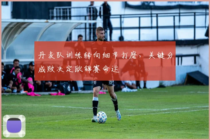 丹麦队训练转向细节打磨,关键分成败决定欧锦赛命运