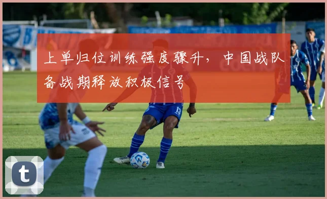 上单归位训练强度骤升,中国战队备战期释放积极信号