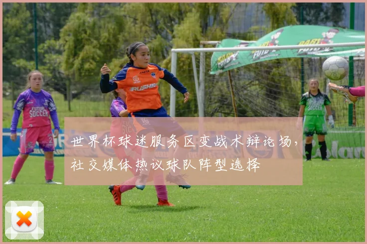 世界杯球迷服务区变战术辩论场，社交媒体热议球队阵型选择