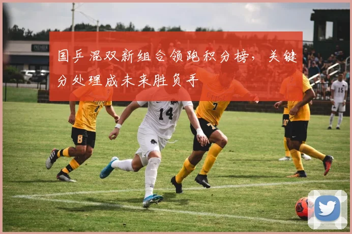 国乒混双新组合领跑积分榜，关键分处理成未来胜负手